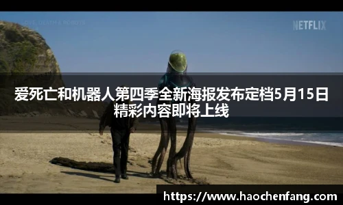 ng娱乐